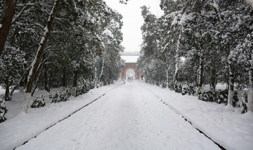 南京灵谷寺雪景