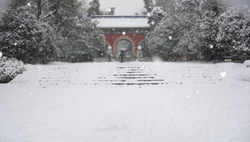 南京灵谷寺雪景