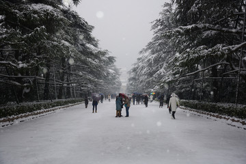 中山陵冬天景色