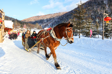 黑龙江雪乡 雪乡旅游 马拉爬犁