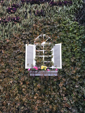 植物墙