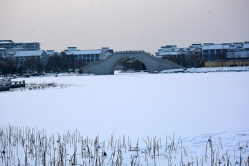 雪景