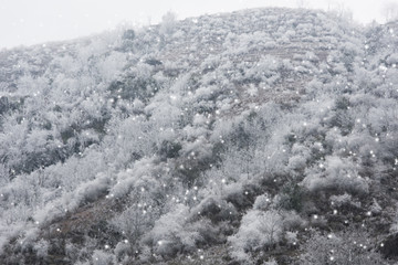 雾凇 雪山