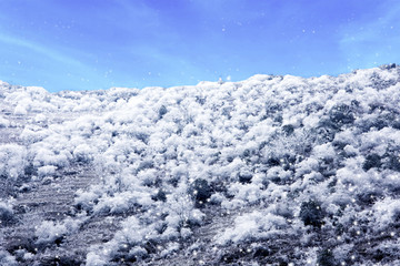 雪山 山岭