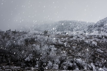 雪景