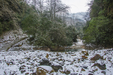 雪景