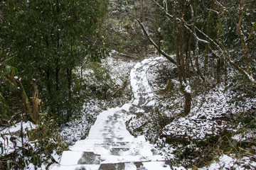 雪景小路