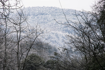 雾凇 雪景