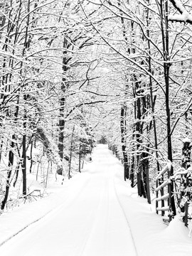 雪天 雪地雪景