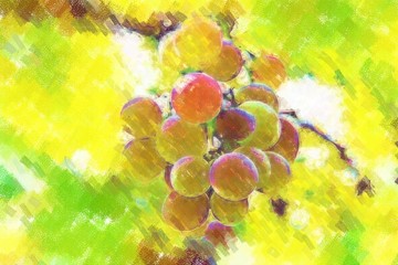 油画 葡萄