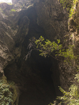 张家界大峡谷 大鲵洞