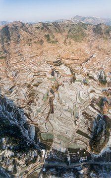 温州茗岙梯田雪景全景图