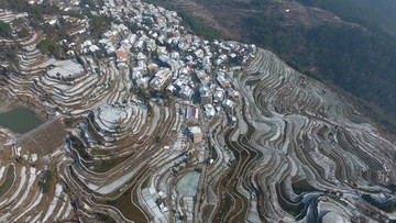 茗岙梯田雪景