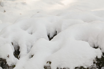雪纹理