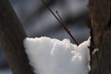 雪景