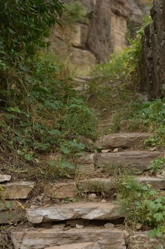 山路