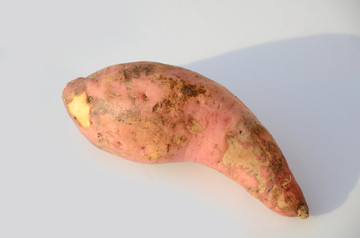 红薯