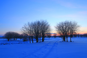 雪原树林朝阳风景