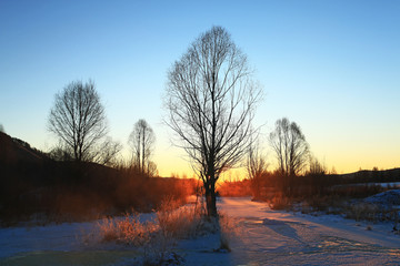 冰河树木朝阳