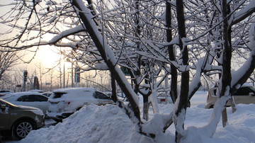 大雪 树林 车流