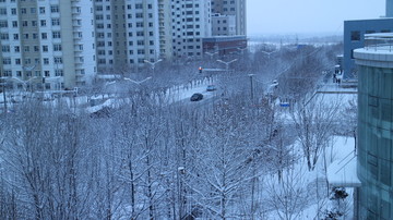 大雪的街道