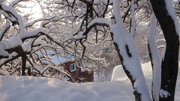 冬日 雪屋