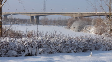 冬雪 大桥