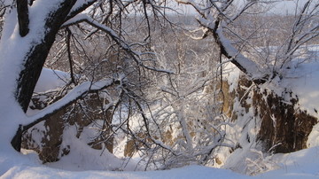 杏林雪景