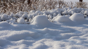 雪地