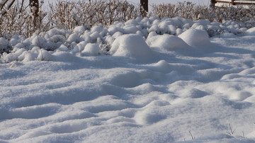 雪地