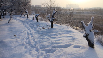 雪地 小路