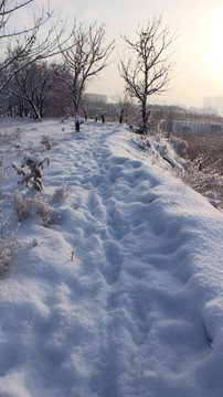 雪地 脚印