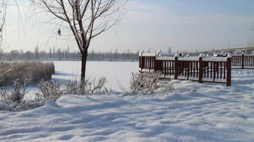 雪地栅栏