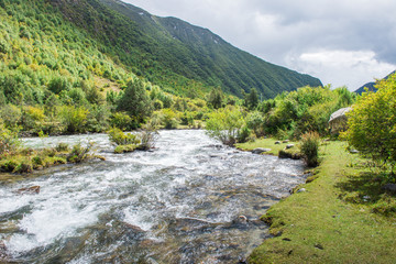 山水风光 西藏加查 森林植被