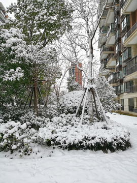 雪景