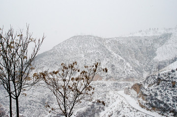 陕北雪景