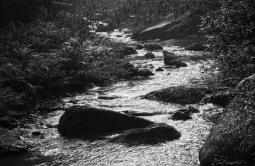 山间溪流 水墨