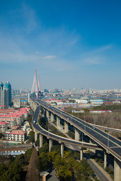 杨浦大桥