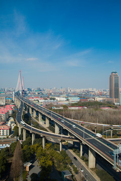 杨浦大桥