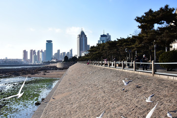 青岛海滨风光