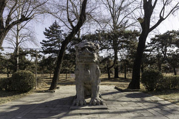 十三陵总神道石像生狮子