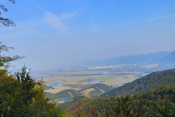 南山下的田野