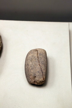 新石器时代使用的石锤