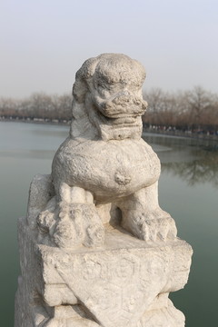 颐和园十七孔桥形态各异狮子雕像