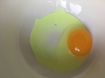 土鸭蛋