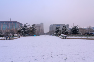 下雪后的济南泉城广场 （13）