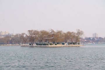 下雪之后的济南大明湖 （12）