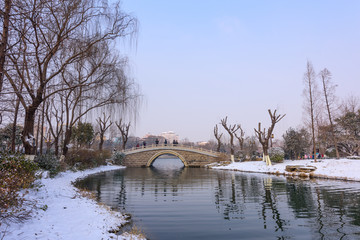 雪后济南大明湖 （14）