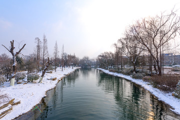 雪后济南大明湖 （15）