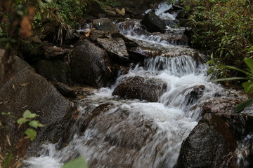 溪水 溪流 小溪 山谷 河流